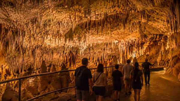 Excursión a las cuevas del Drach con concierto