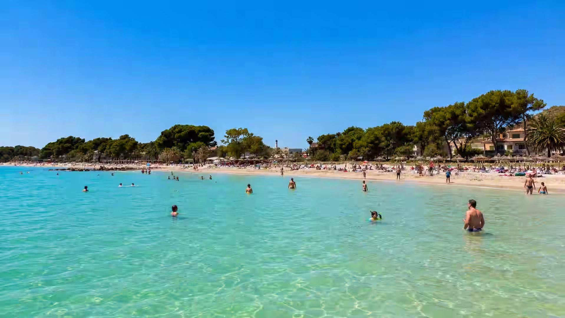 Playa de Alcúdia con peques Playa de Alcúdia con peques